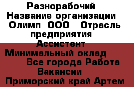 Разнорабочий › Название организации ­ Олимп, ООО › Отрасль предприятия ­ Ассистент › Минимальный оклад ­ 25 000 - Все города Работа » Вакансии   . Приморский край,Артем г.